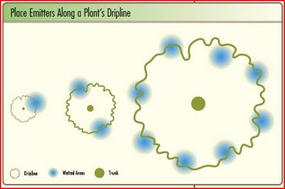 Emitter Placement